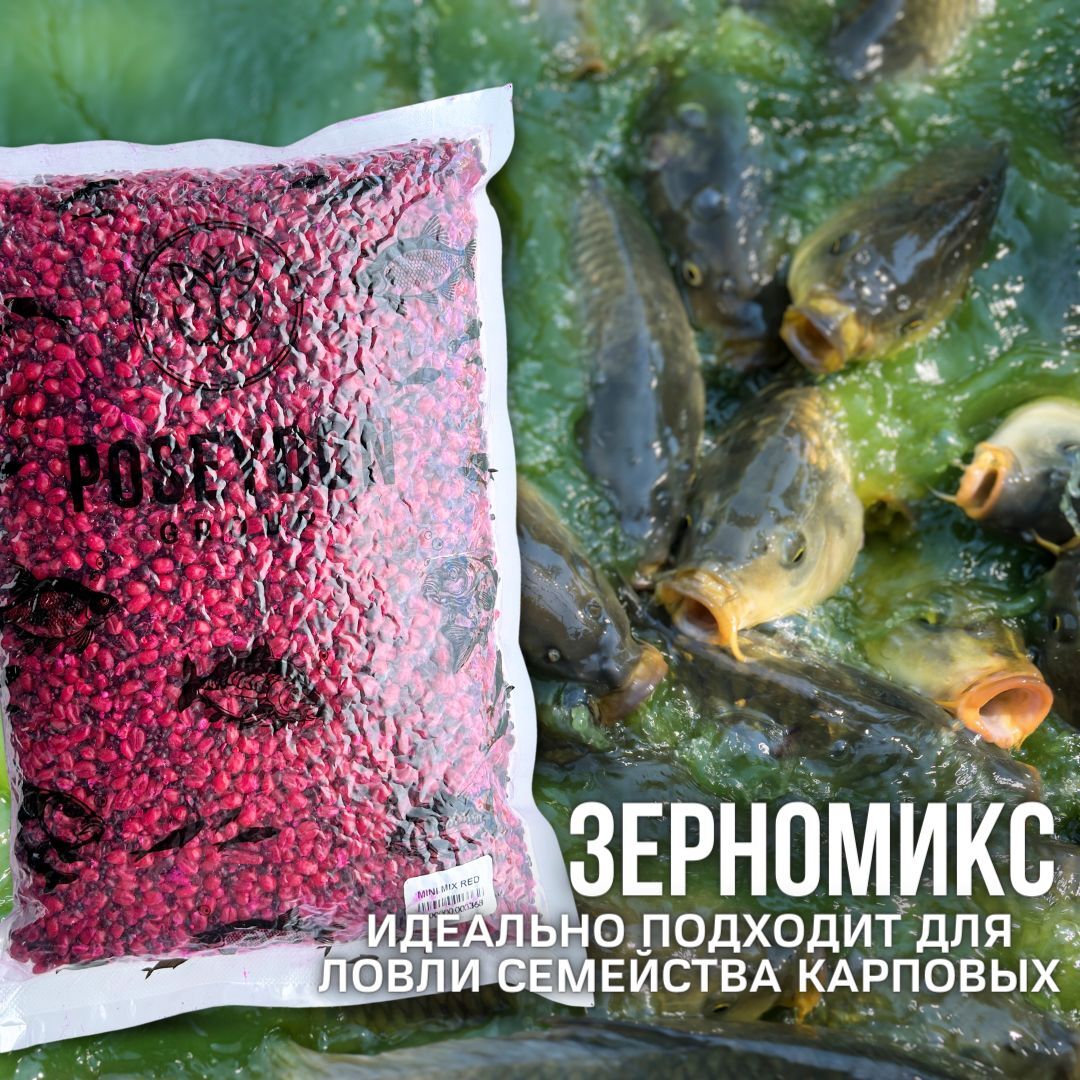 Зерновая смесь для рыбалки POSEYDON Mini Mix Red 1кг / зерномикс прикормка рыболовная
