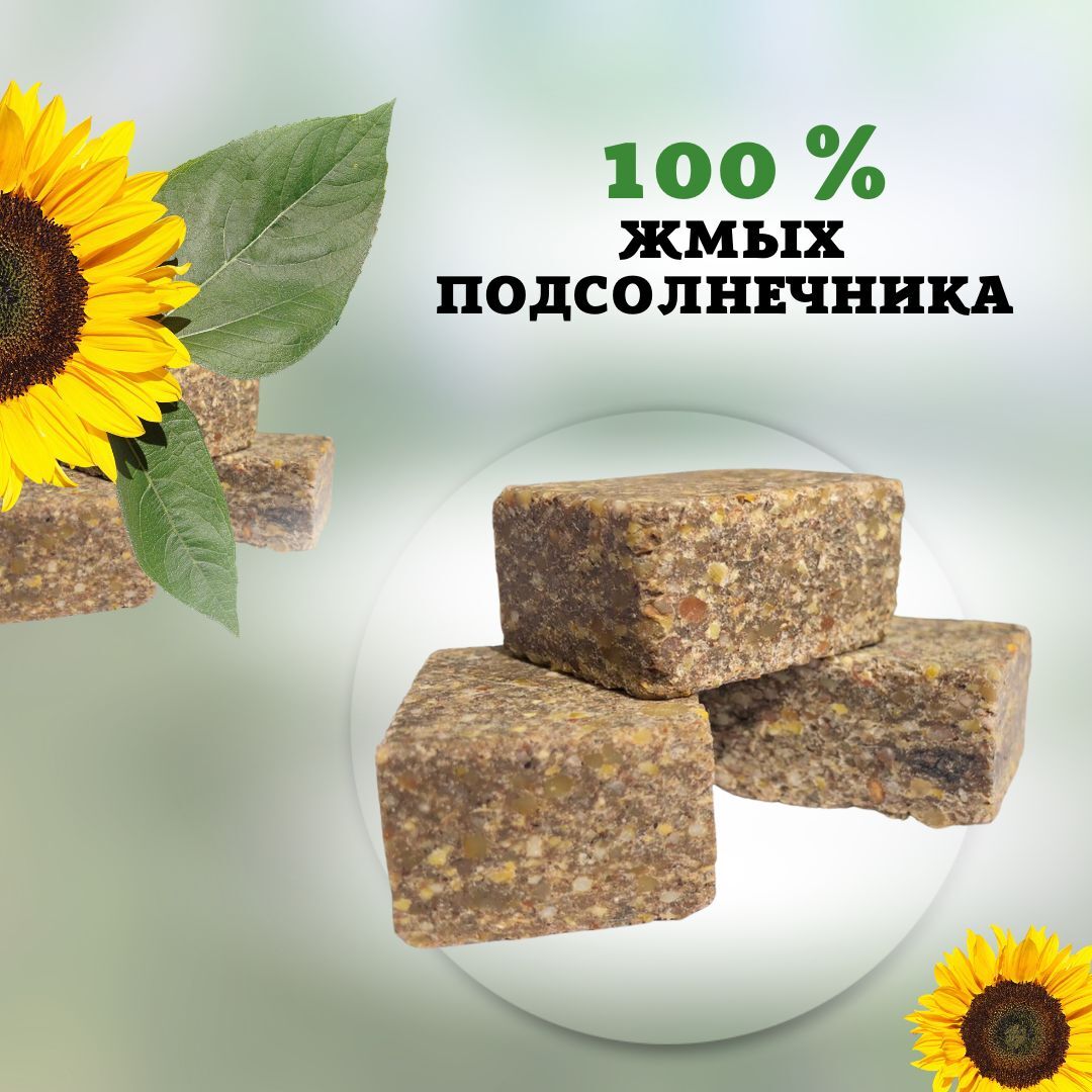 Макуха рыболовная / жмых для рыбалки Богосовская Б-12 12 штук 300 грамм