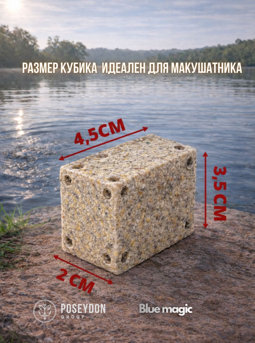 Жмых рыболовный кукурузный / прикормка рыболовная / макуха для рыбалки POSEYDON Слива 12 штук 550 грамм
