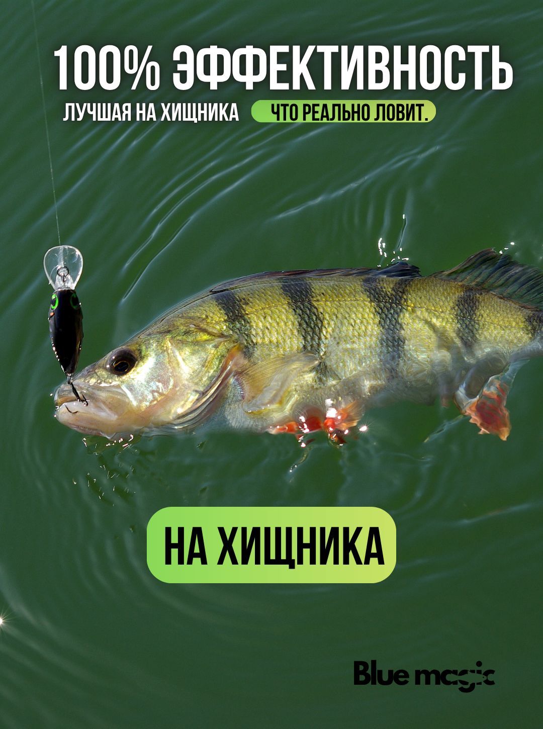Аттрактант для рыбалки на хищника / смазка-аттрактант на хищную рыбу 1 штука Хищ-рыба